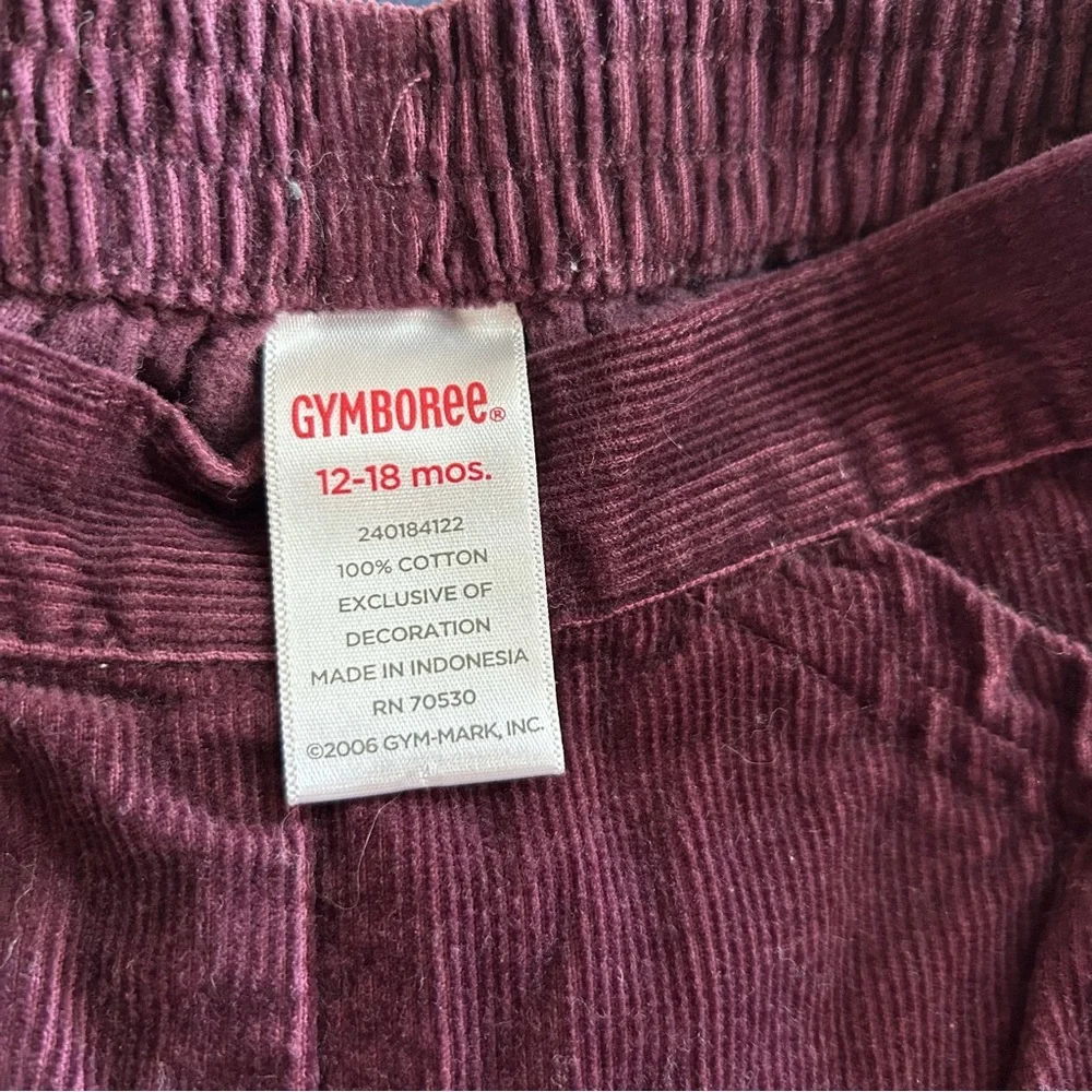 Gymboree Bohemian Corduroy Pants